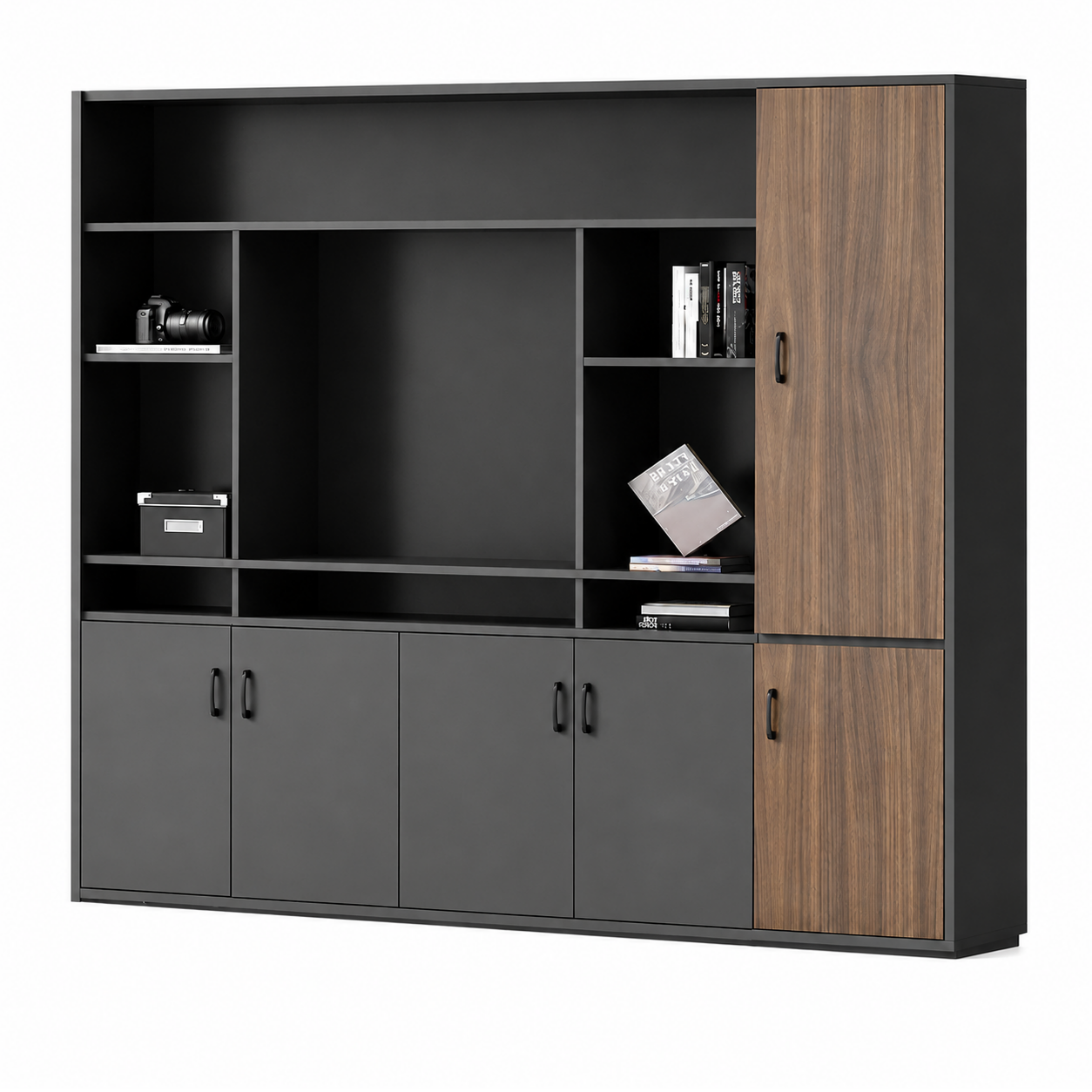 Modern Executive Storage Cabinet with Display Shelves