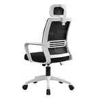 Ergonomic Mesh Office Chair with Lumbar Support and Padded Seat Cushion