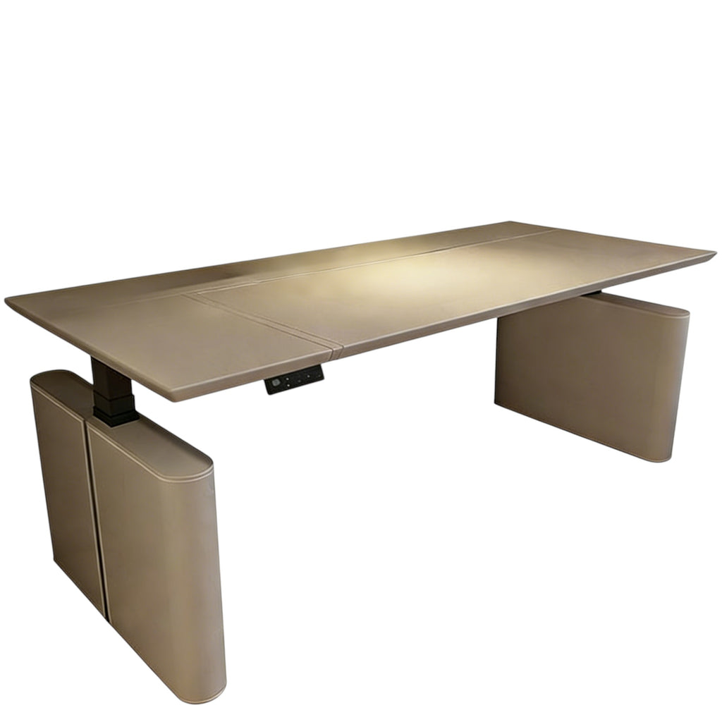 Ergonomic Electric Sit-Stand Desk for Home Offices