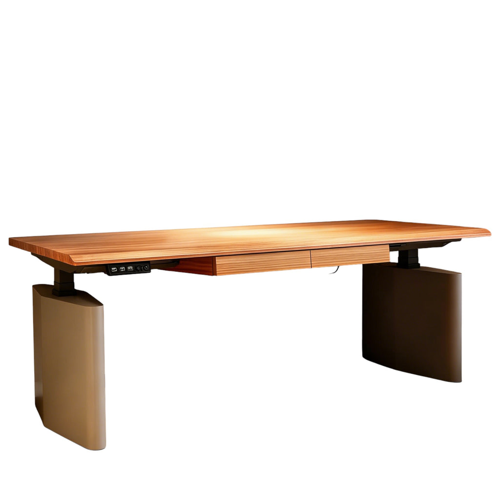 Ergonomic Electric Sit-Stand Desk for Home Offices