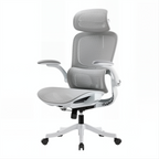 Ergonomic Full Mesh Task Chair with 4D Lumbar Support and Dynamic Linkage Armrests