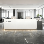 Straight Reception Counter with Storage Return and Worktop