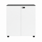 Contemporary Modular Office Storage Cabinet with Secure Custom Option