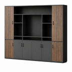 Modern Executive Storage Cabinet with Display Shelves