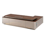 Designer Executive Desk with Feature Light and Storage