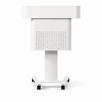Height-Adjustable Mobile Lectern with Wheels