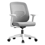 Modern Ergonomic Office Chair with Breathable Mesh