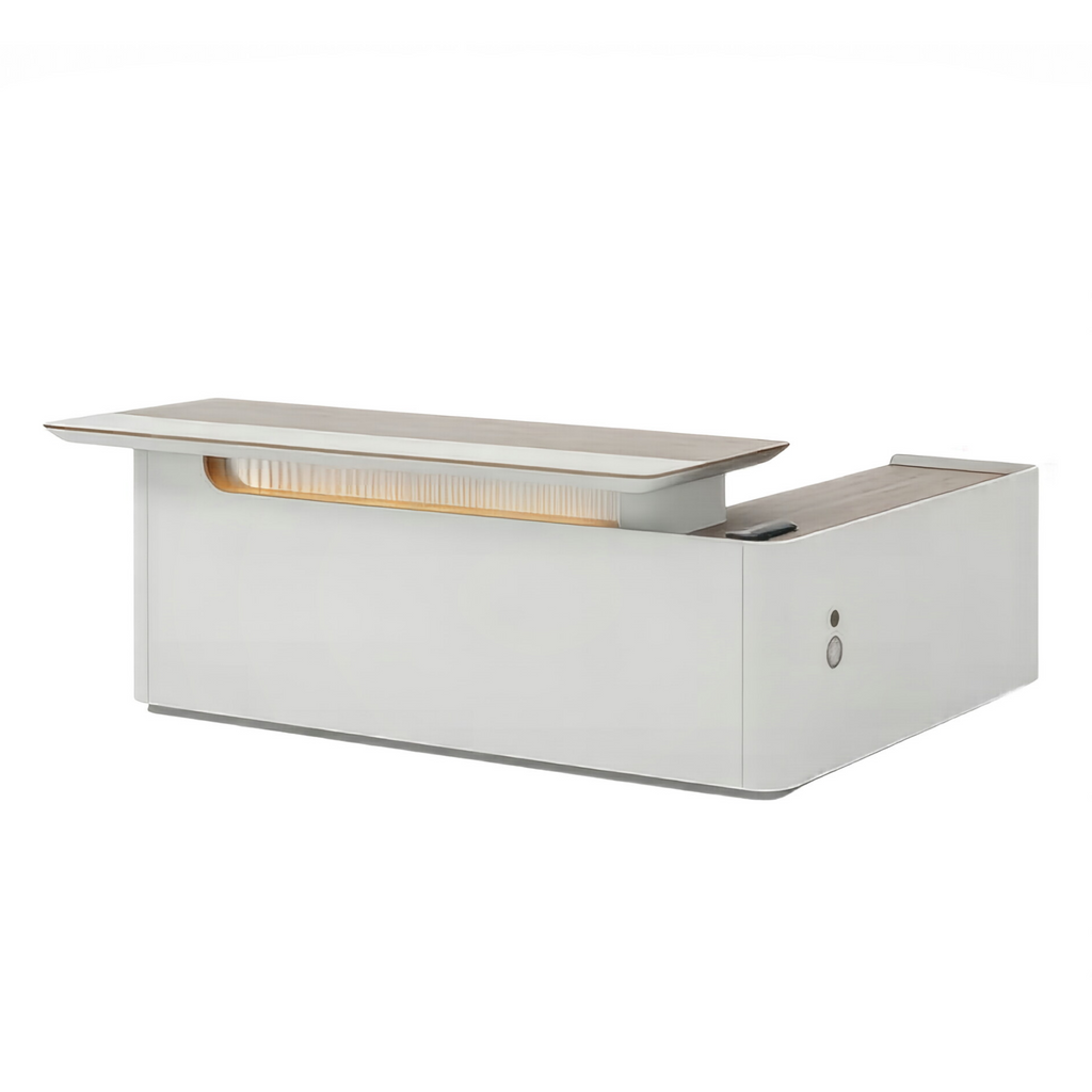 Premium Office Desk with Concealed Cable Access