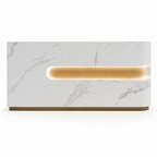 Modern LED Reception Counter with Custom Branding