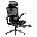 Ergonomic Full Mesh Task Chair with 4D Lumbar Support and Dynamic Linkage Armrests