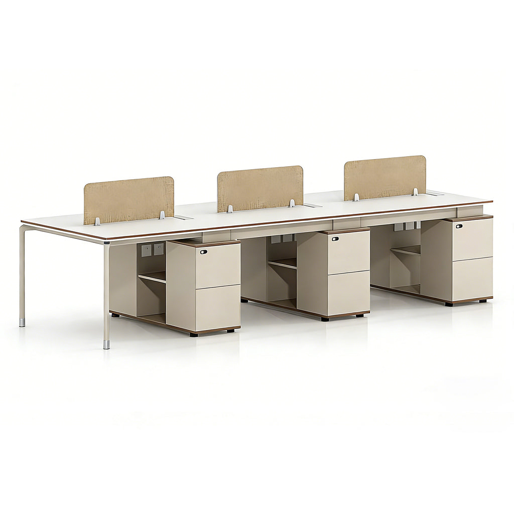 Shared Office Workstation with Storage Units