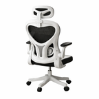 Ergonomic Task Chair with Dynamic Lumbar Support