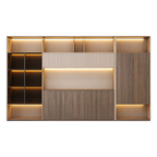 LED Storage Wall for Professional Offices
