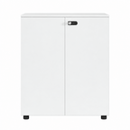 Contemporary Modular Office Storage Cabinet with Secure Custom Option