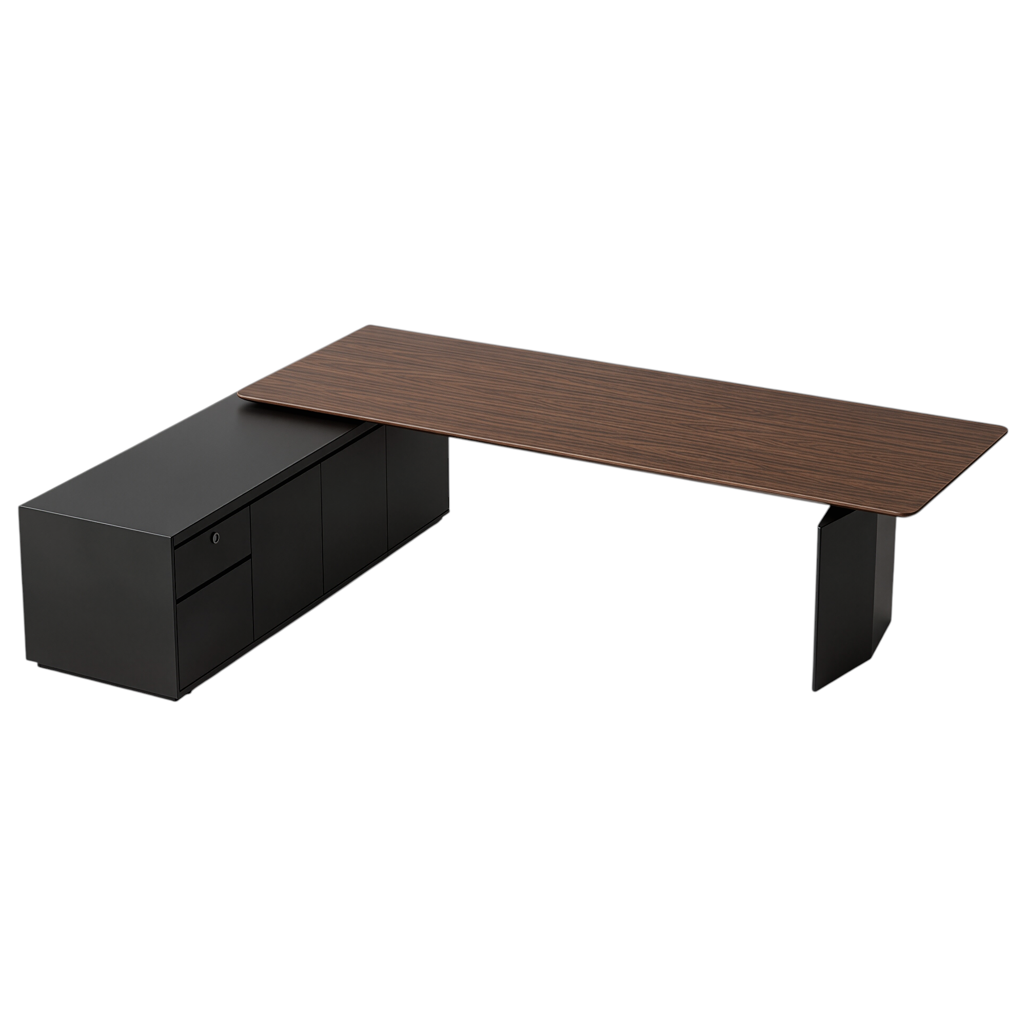 Modern Executive Standing Desk With Storage