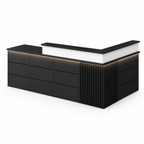 Modern Classic LED Reception Desk with Storage