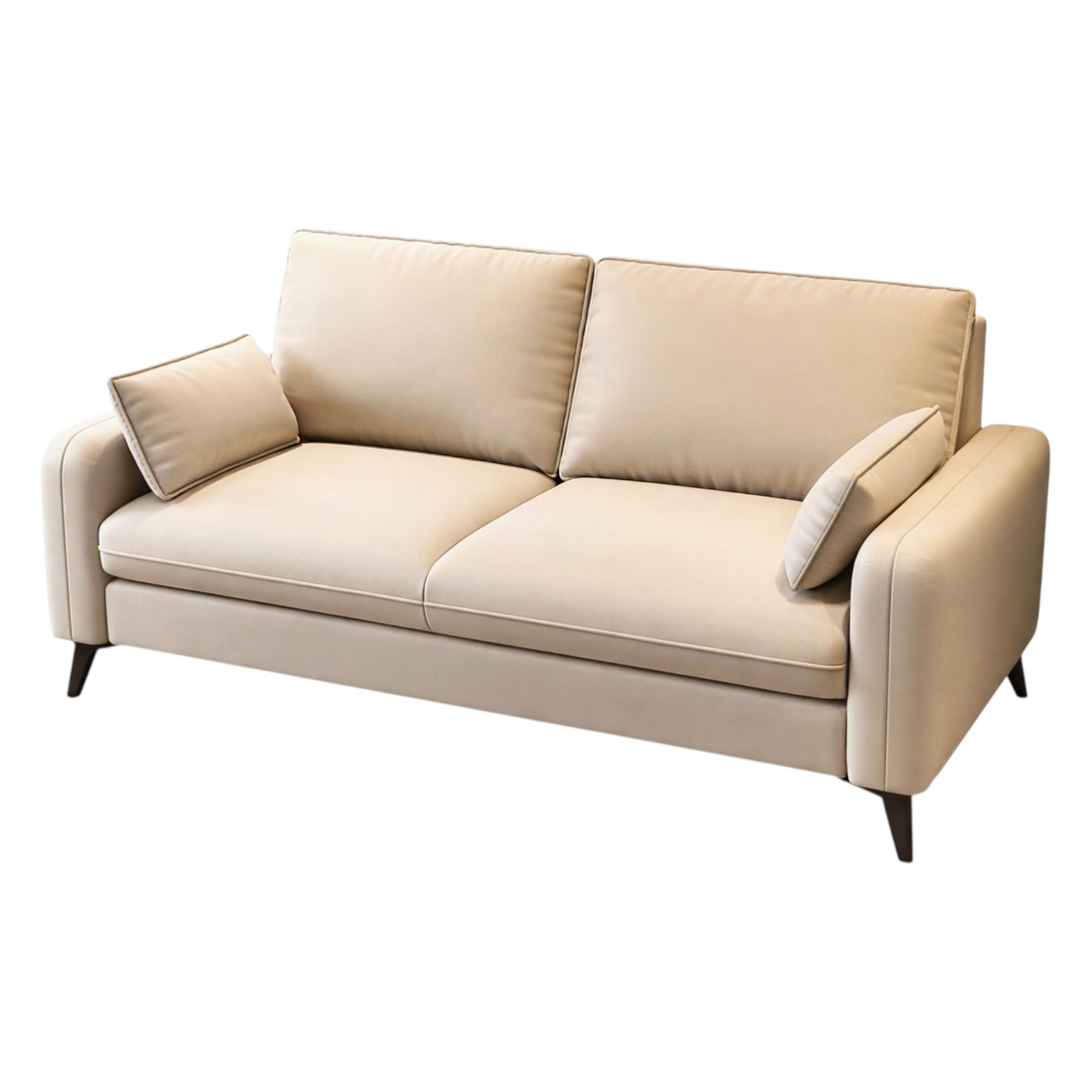 Minimalist Upholstered Lounge Sofa