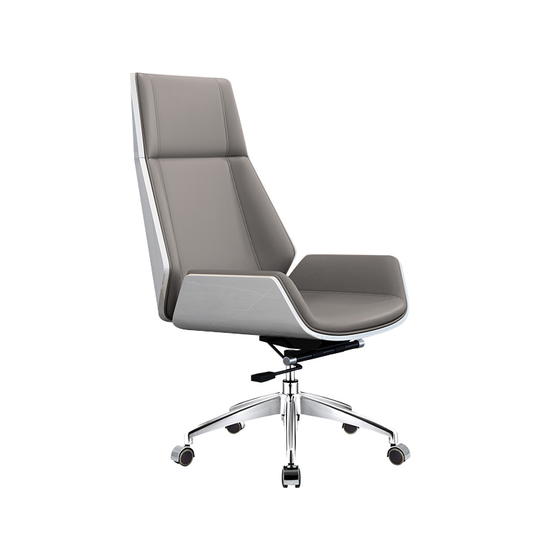Modern Executive Chair with Supportive Backrest